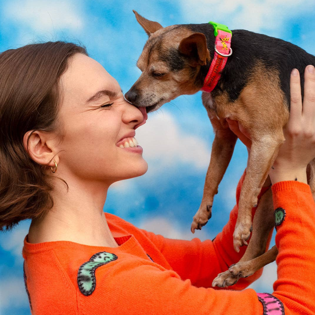 Trash Day Dog Collar