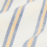 Two Ply Oxford Weave Shirt in Blue Gold Stripe