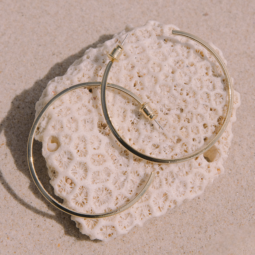 Beau Hoop
