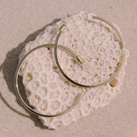 Beau Hoop