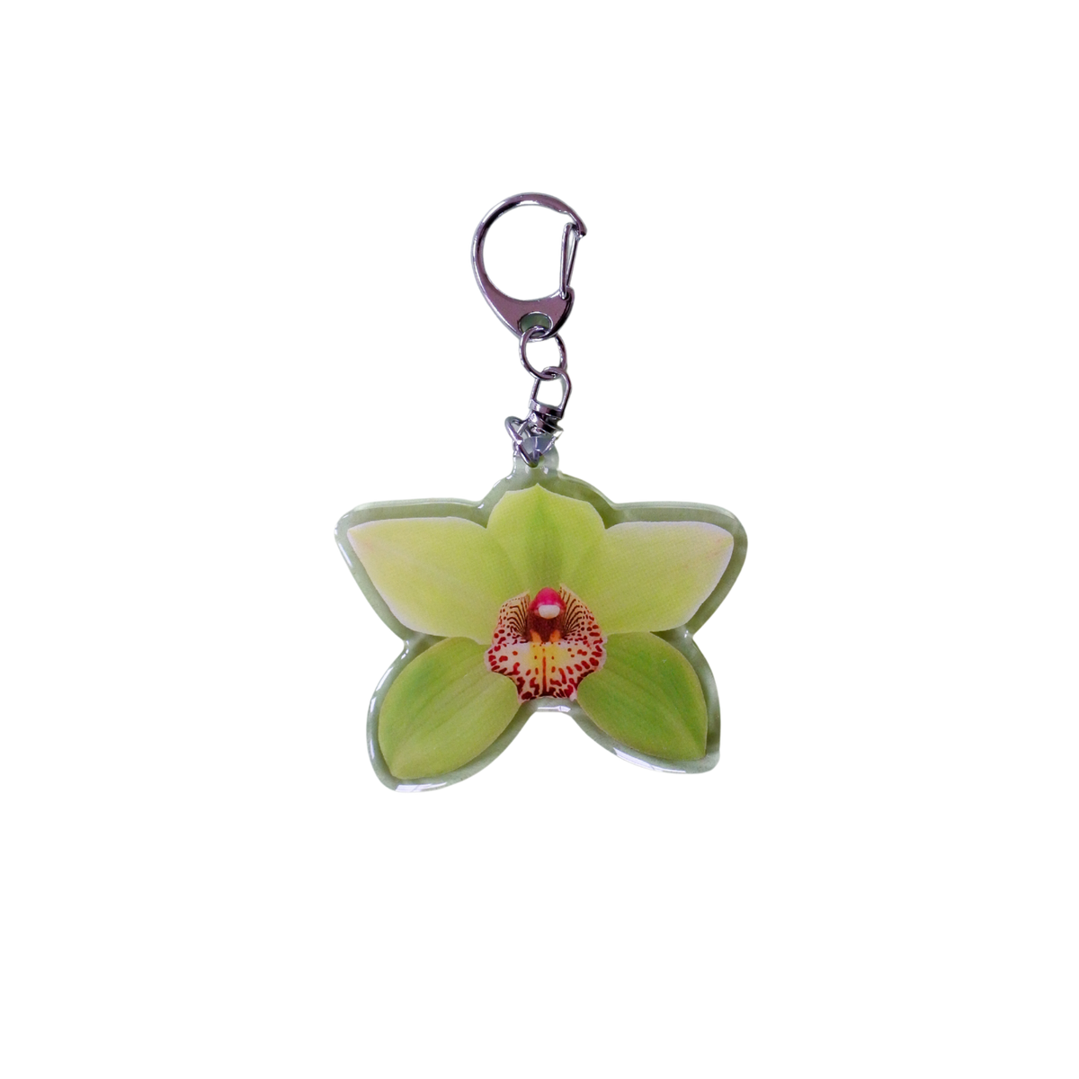 Picto-Charm Keychain