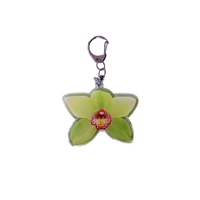 Picto-Charm Keychain