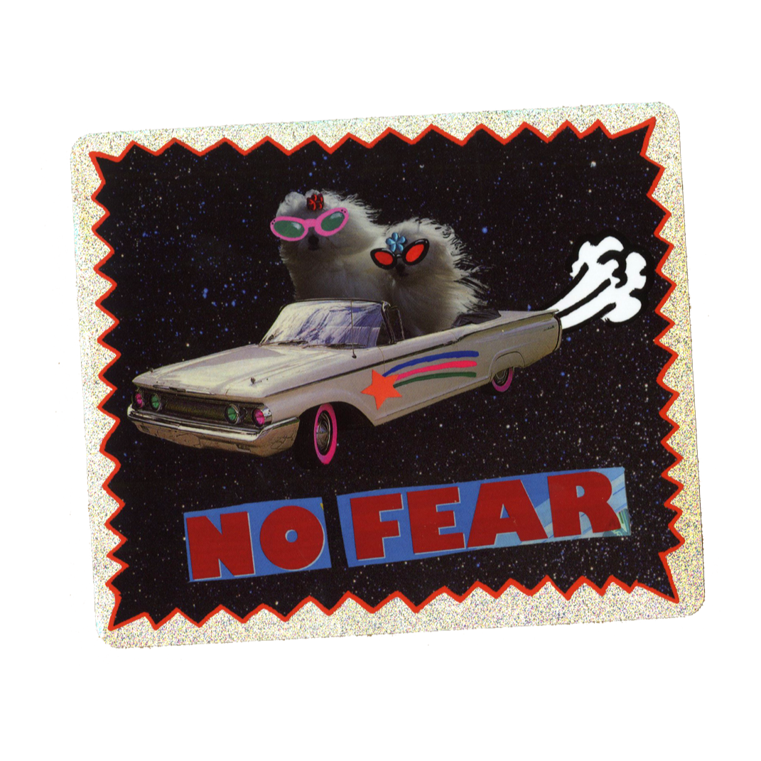 No Fear Glitter Sticker