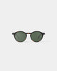 Sun D in Tortoise
