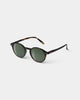 Sun D in Tortoise