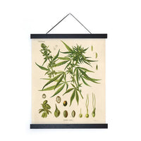 Vintage Botanical Cannabis Print
