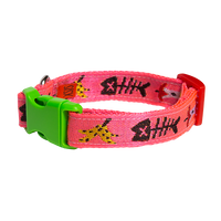 Trash Day Dog Collar