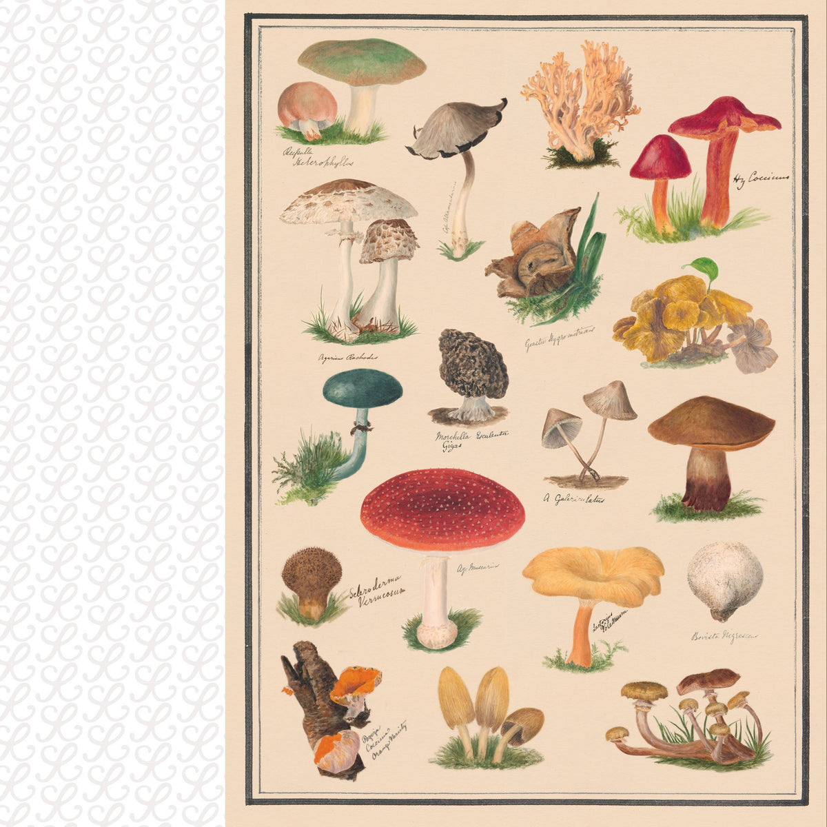 Collage Compendium