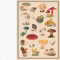 Collage Compendium