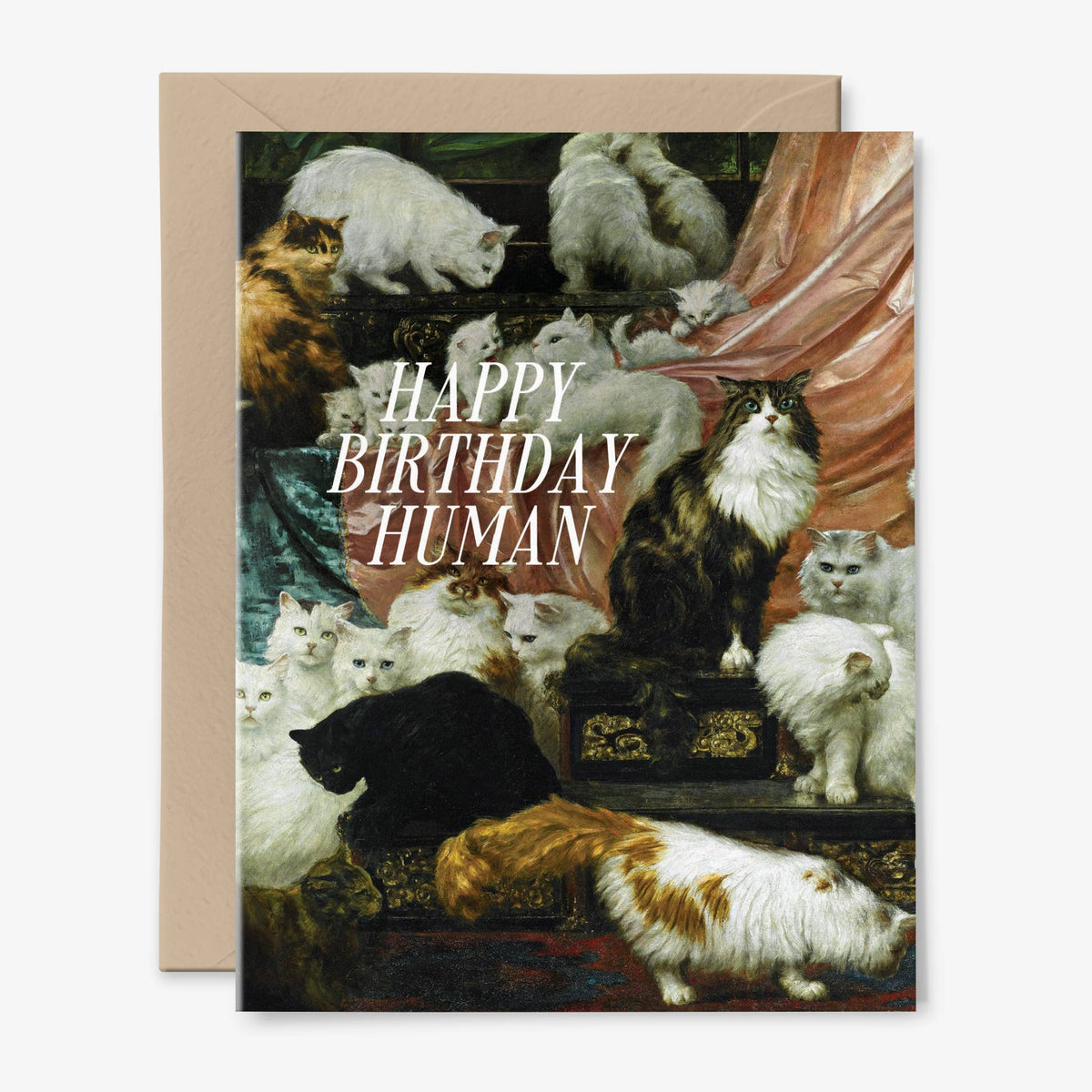 Happy Birthday Human