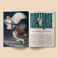 Heartbeat Magazine: Music, Sound, Emotion