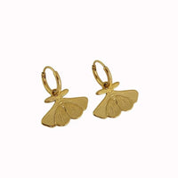 Moth Earrings in Gold