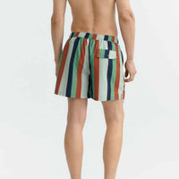 Quick Stripes Liu Swim Shorts