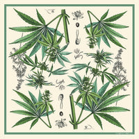 Marijuana Silk Scarf
