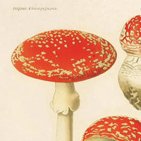 Vintage Magic Mushroom Print